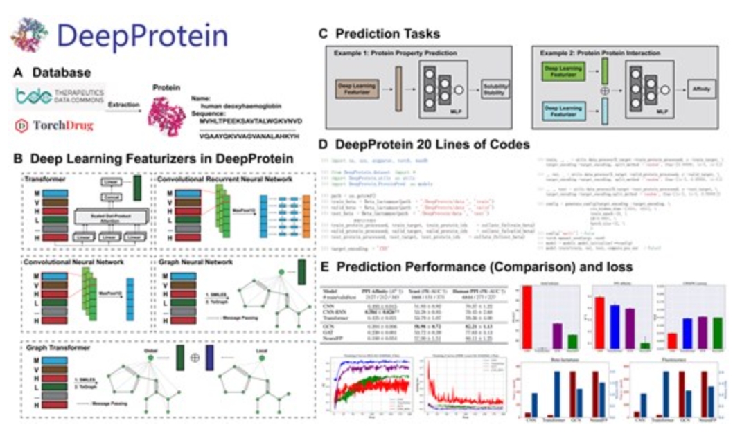 DeepProtein: Deep Learning Library and Benchmark for Protein Sequence Learning